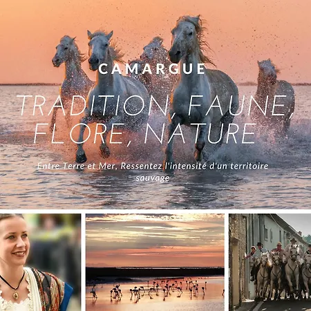 Appartamento Le Salta La Grande-Motte