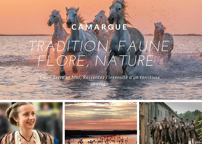 Apartamento Le Salta La Grande-Motte